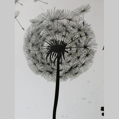 Ferienwohnung Pusteblume Mueddersheim Vettweiss Εξωτερικό φωτογραφία