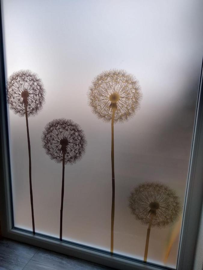 Ferienwohnung Pusteblume Mueddersheim Vettweiss Εξωτερικό φωτογραφία